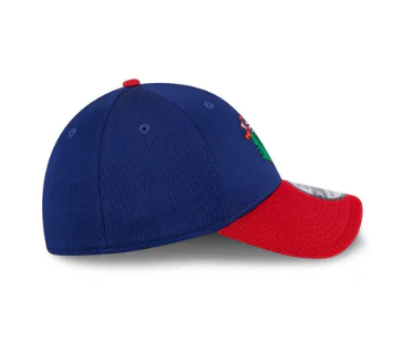 New Era 39Thirty Philadelphia Phillies BP Blue Phanatic Stretch Fit Hat - Image 5